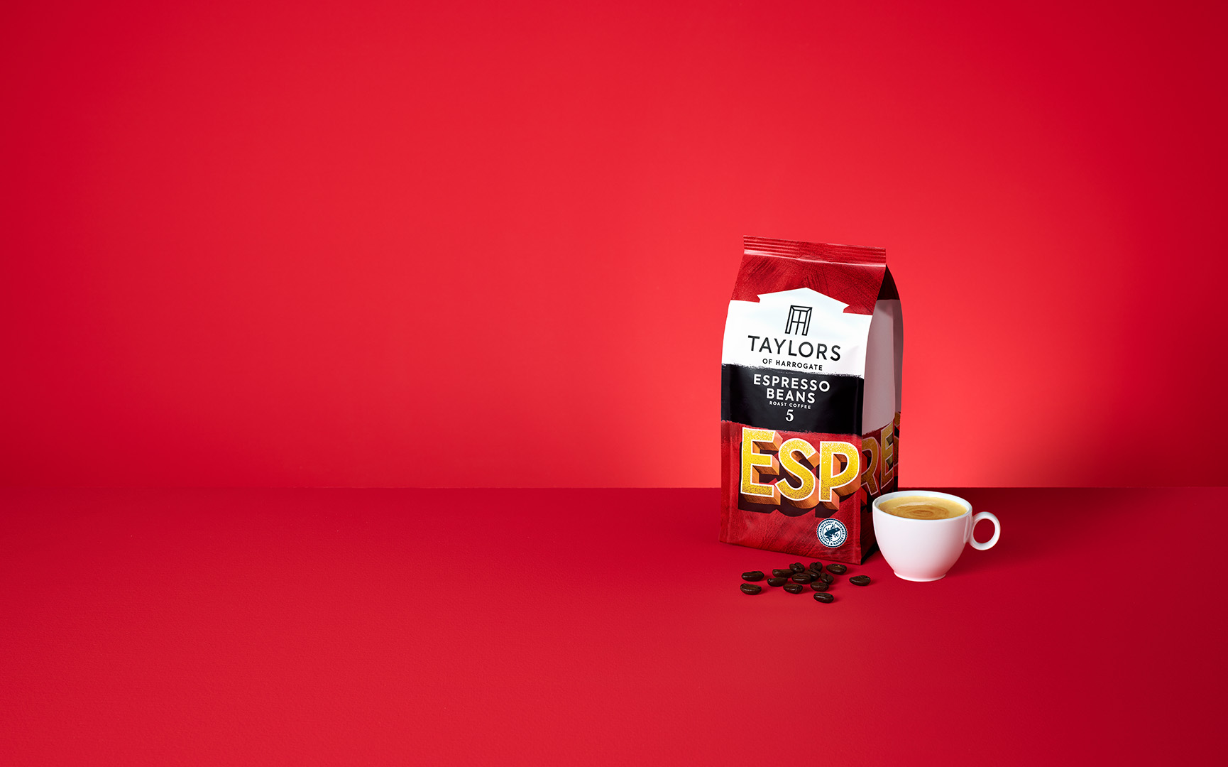 Image & Copy Content Module